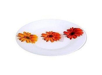 Тарелка 25см. A la Folie Corail