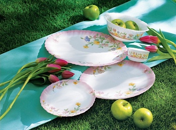 Сервиз столовый 40 предметов 6 персон Elise