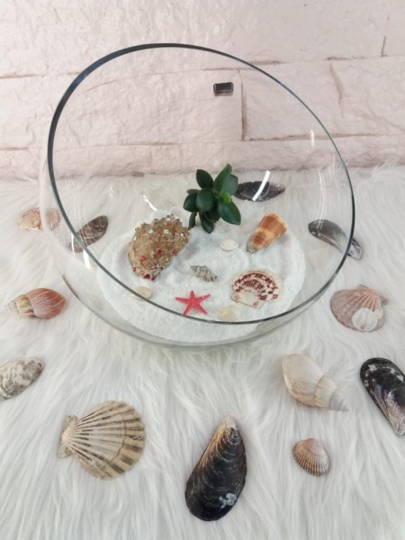 Фруктовница 25*9.5см. Floreal Фруктовница 25*9.5см. Floreal