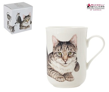 Кружка 0,3л. Европейская короткошерстная