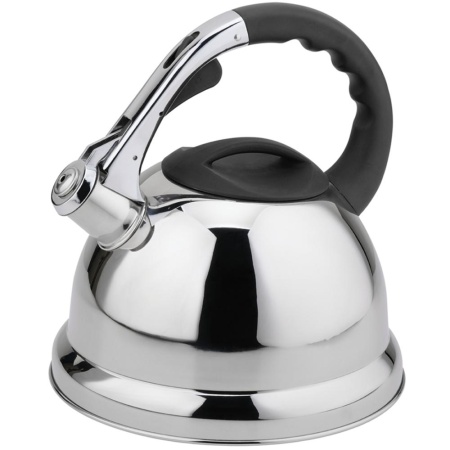 Чайник со свистком 3,8л House Roland