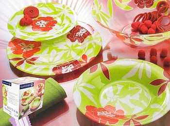 Сервиз столовый 19 предметов 6 персон Peony Green
