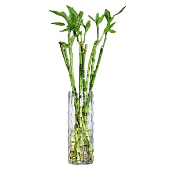 Ваза 40*14см Бамбук