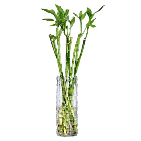 Ваза 30*14см, Бамбук