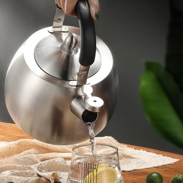 Чайник со свистком 4 л сатин