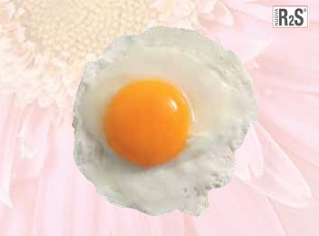 Подложка 45*30см. EGG