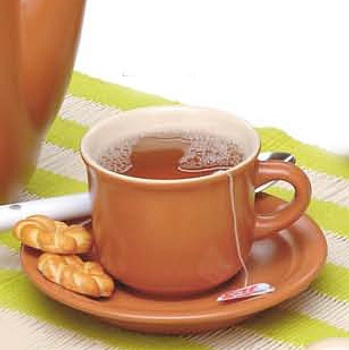 Чайная пара 200мл. Teracota & Cream V