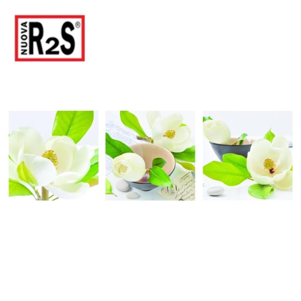 Картина настенная Magnolia