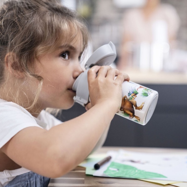 Бутылка для напитков, детская 350 мл ZWILLING Dinos