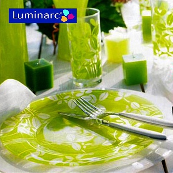 Сервиз столовый 19 предметов 6 персон Colorine Anis